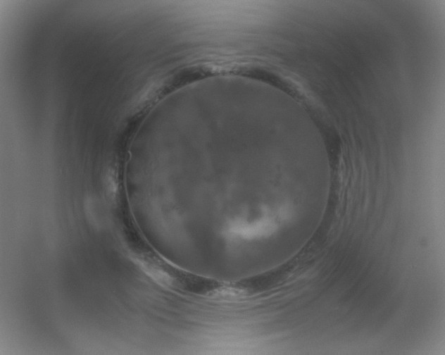 X0000055510691200508121017