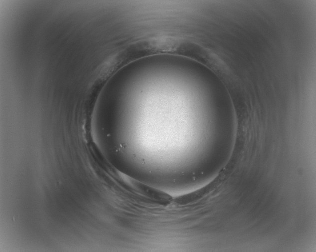 X0000055510693200508121017