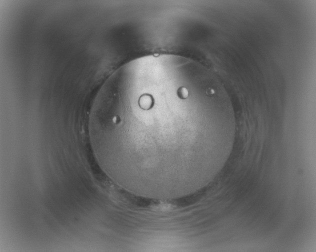X0000055510695200508121017
