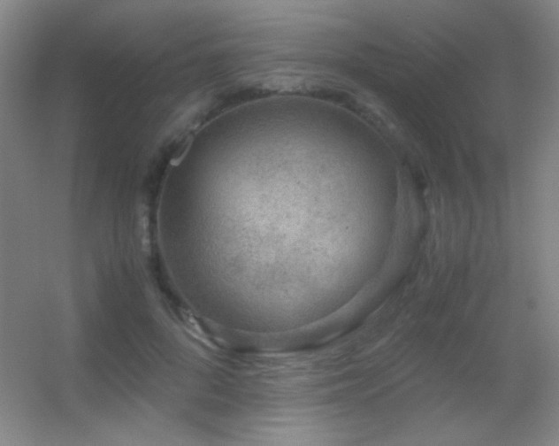 X0000055510696200508121017