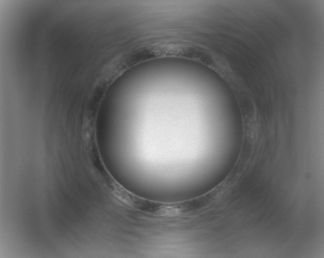 X0000055510701200508121017