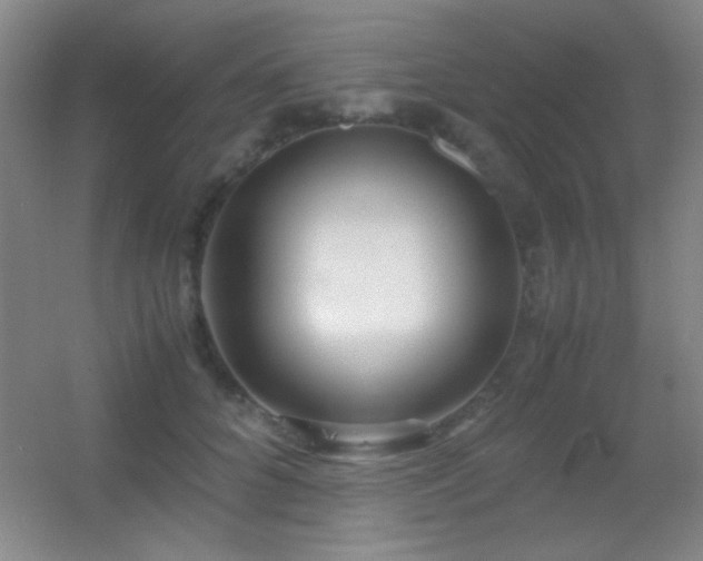 X0000055510704200508121017