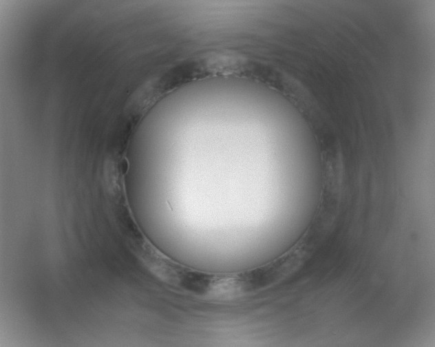 X0000055510705200508121017