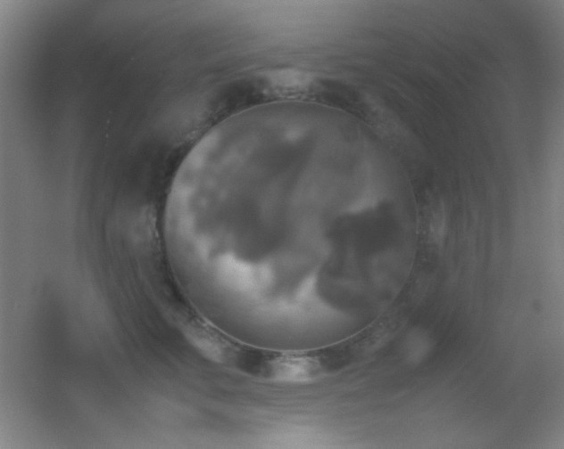 X0000055510711200508121017