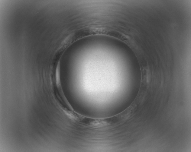 X0000055510712200508121017