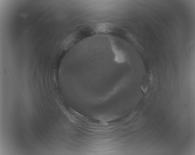 X0000055510715200508121017