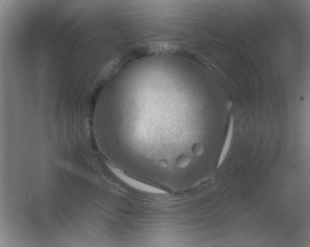 X0000055510716200508121017