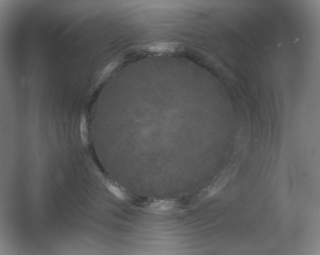 X0000055510720200508121017