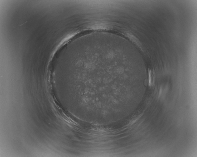 X0000055510723200508121016