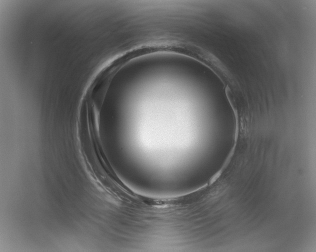 X0000055510724200508121016