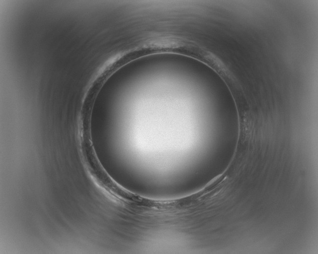 X0000055510726200508121016