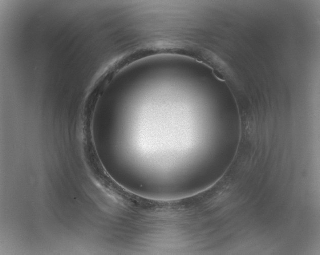 X0000055510732200508121016