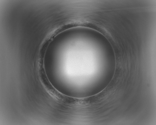 X0000055510736200508121016