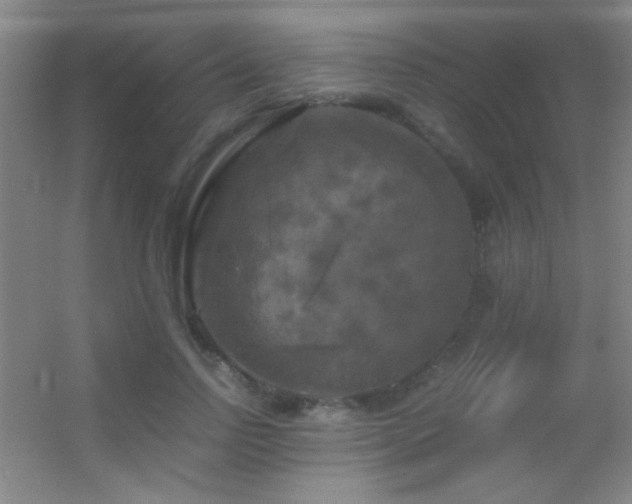 X0000055510742200508121016