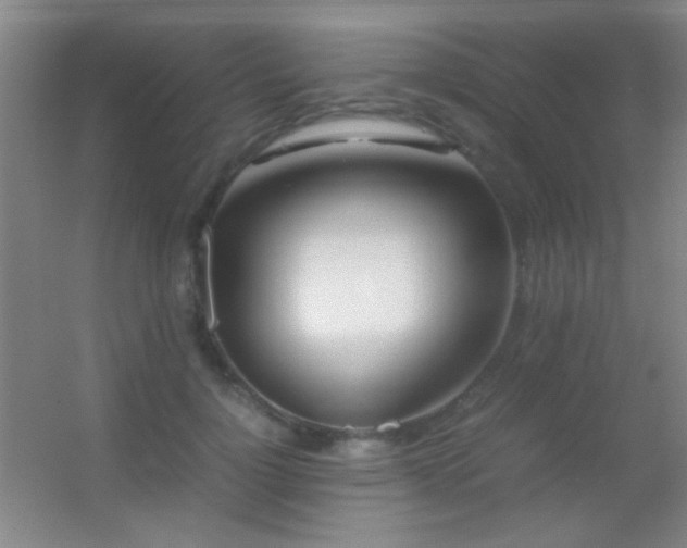 X0000055510748200508121016