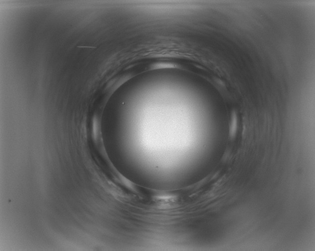 X0000055510750200508121017