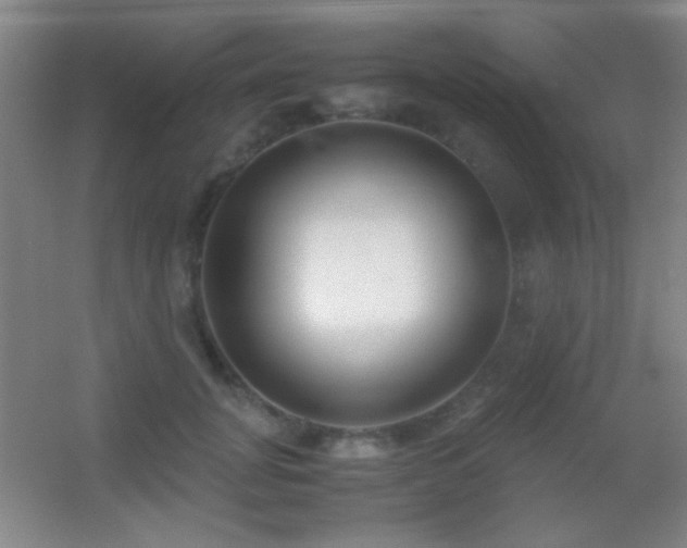 X0000055510751200508121017