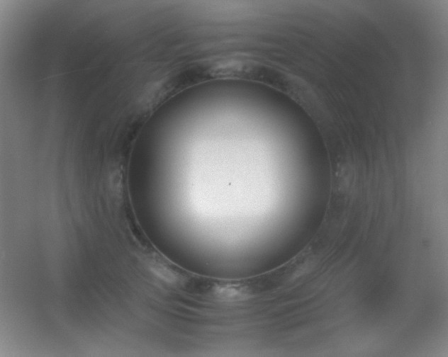 X0000055510753200508121017