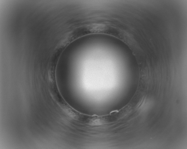 X0000055510755200508121017