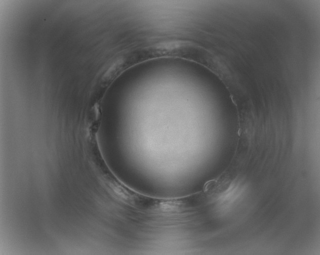 X0000055510758200508121017