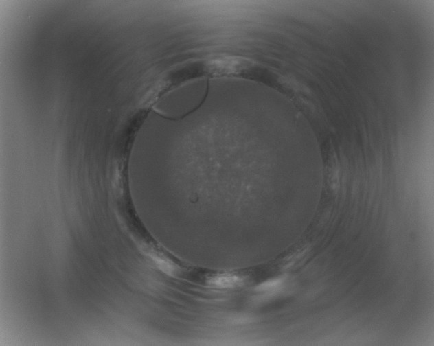 X0000055510759200508121017