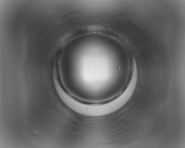 X0000055510762200508121017