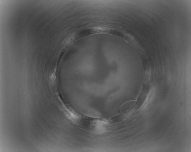X0000055510765200508121017