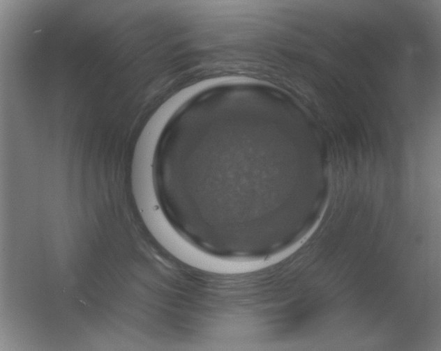 X0000055510766200508121017