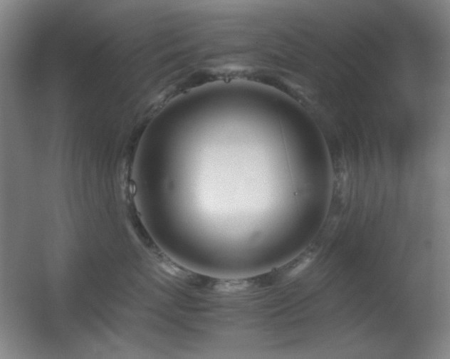 X0000055510767200508121017