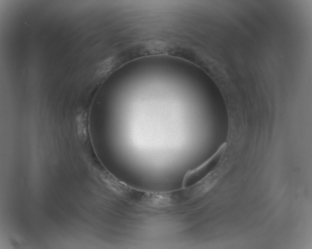 X0000055510768200508121017