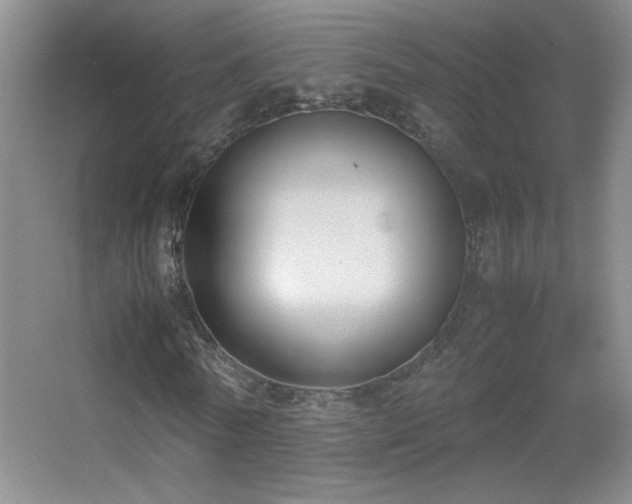 X0000055510770200508121016