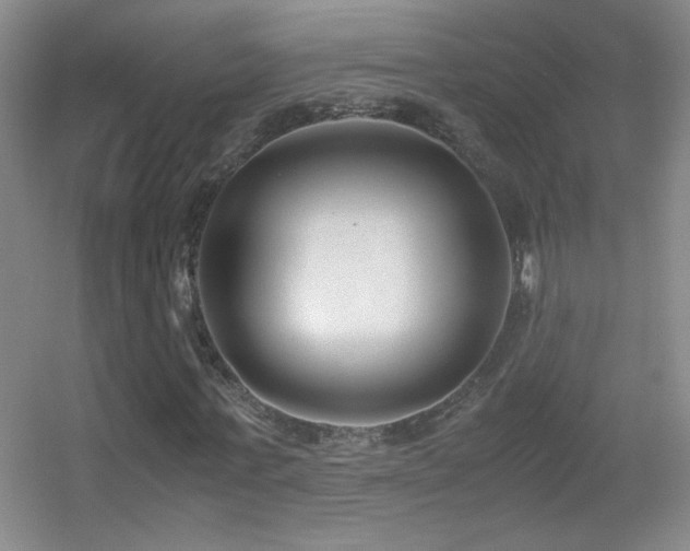 X0000055510771200508121016