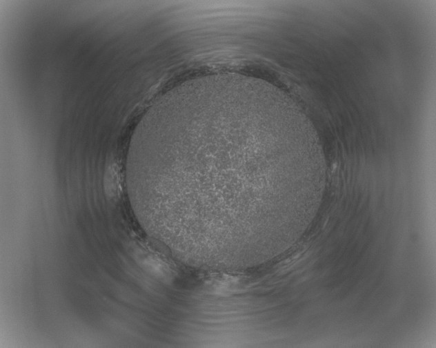 X0000055510772200508121016