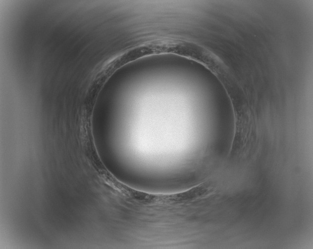 X0000055510773200508121016