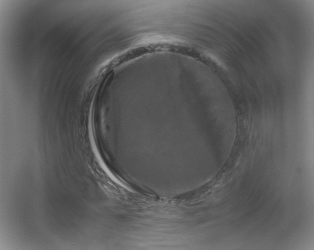 X0000055510775200508121016