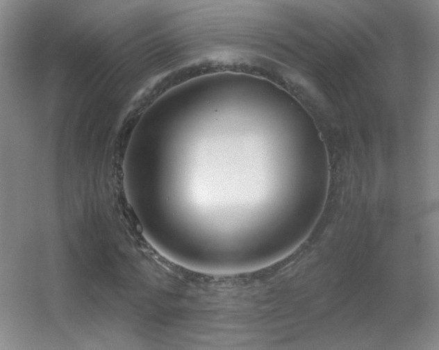 X0000055510776200508121016