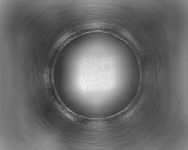X0000055510778200508121016