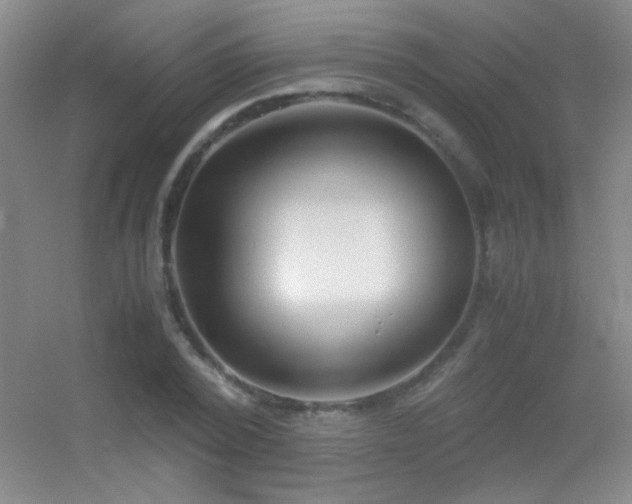X0000055510784200508121016