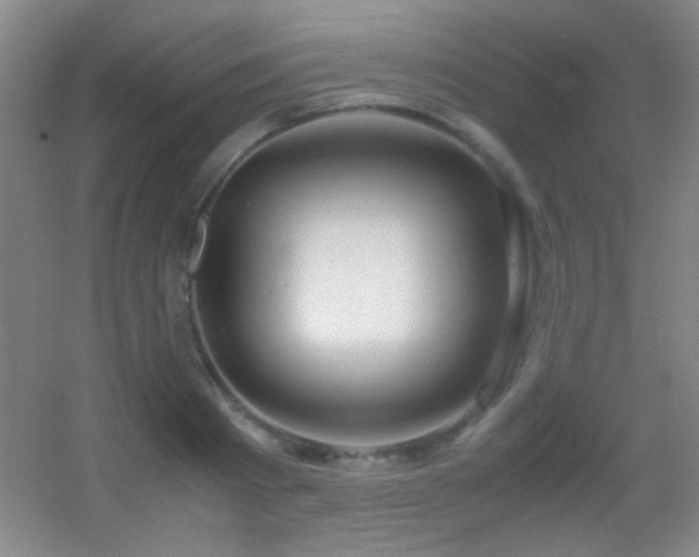 X0000055510793200508121016