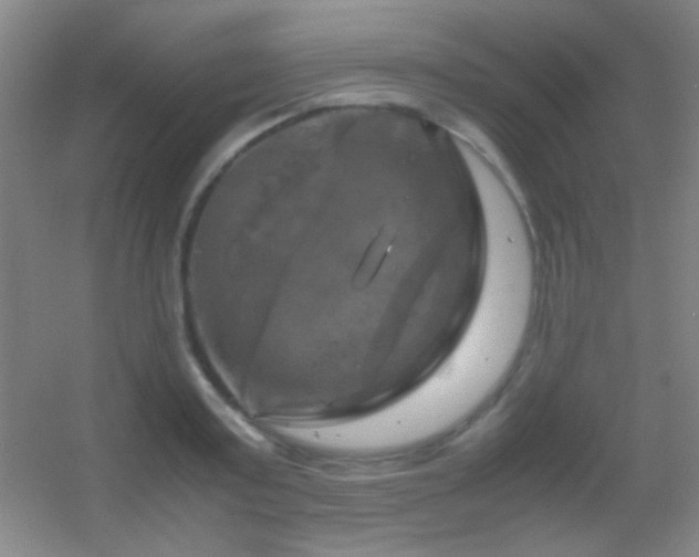 X0000055510795200508121016