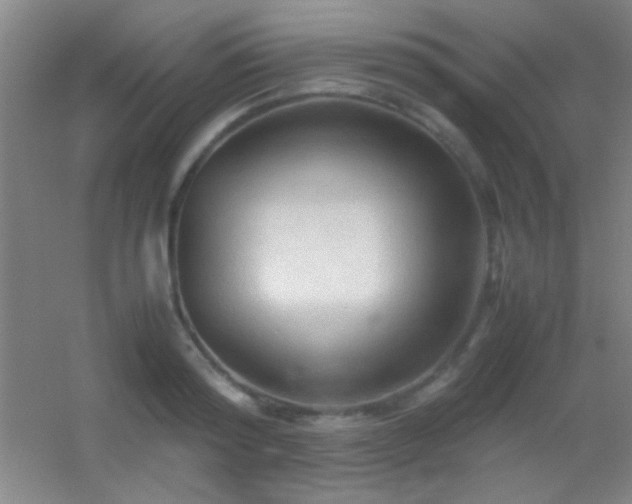 X0000055510796200508121016