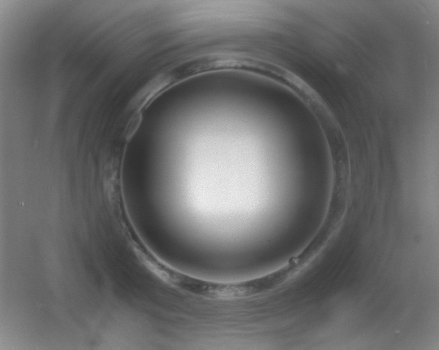 X0000055510801200508121015