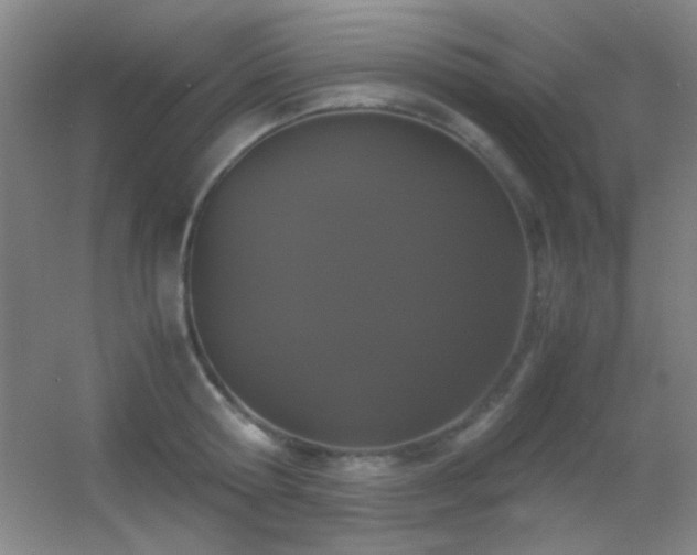 X0000055510802200508121015