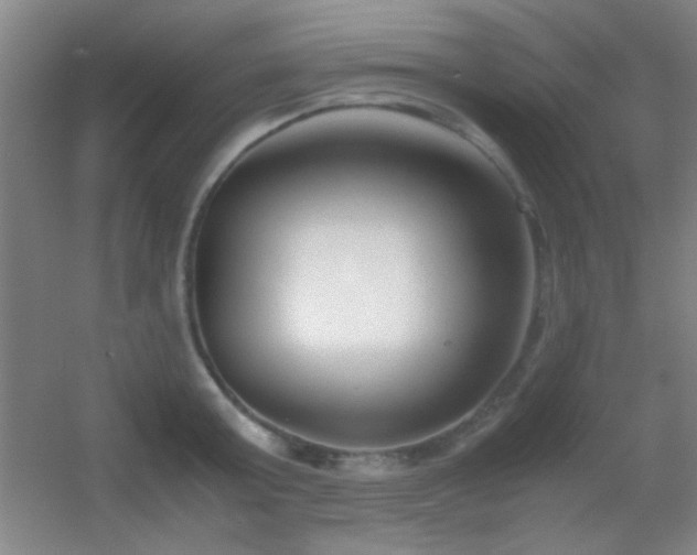 X0000055510803200508121015