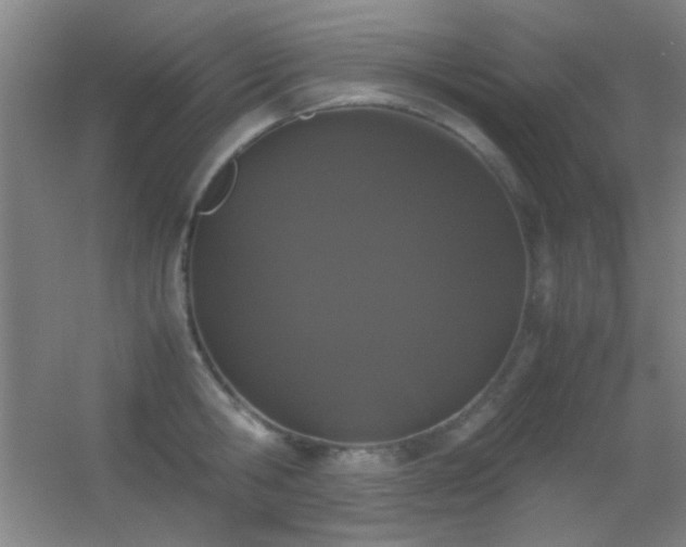 X0000055510806200508121015