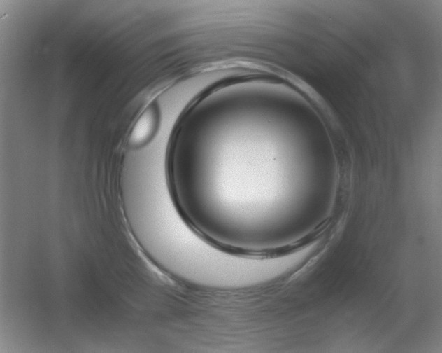 X0000055510809200508121015
