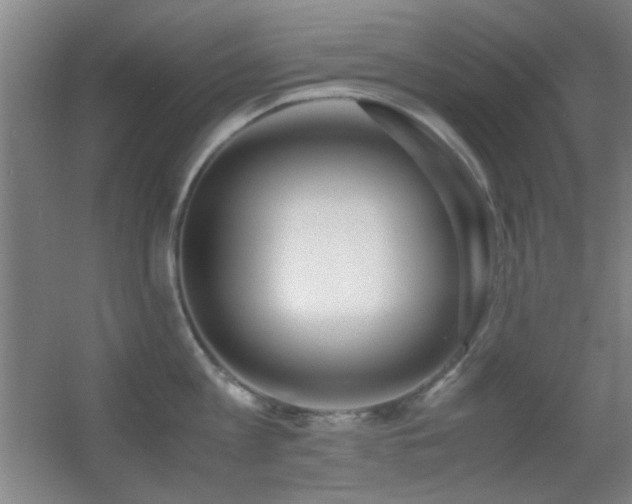 X0000055510813200508121015