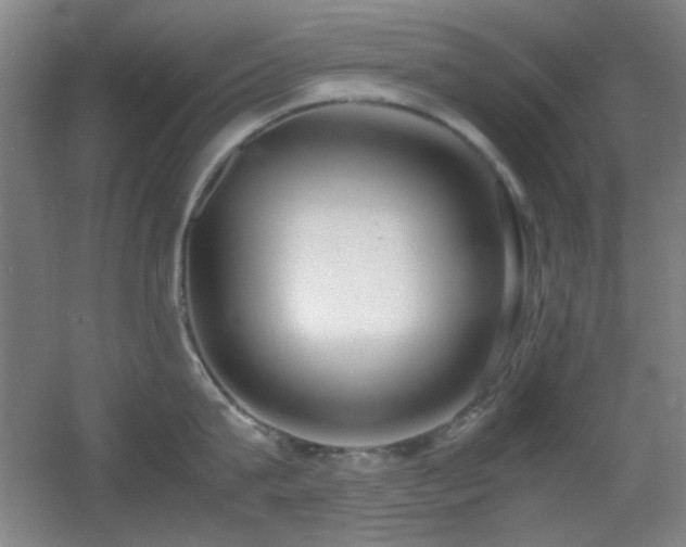 X0000055510815200508121015