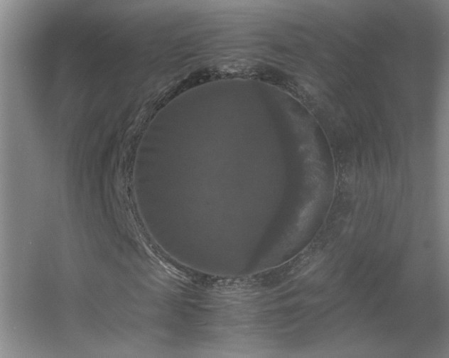 X0000055510817200508121014