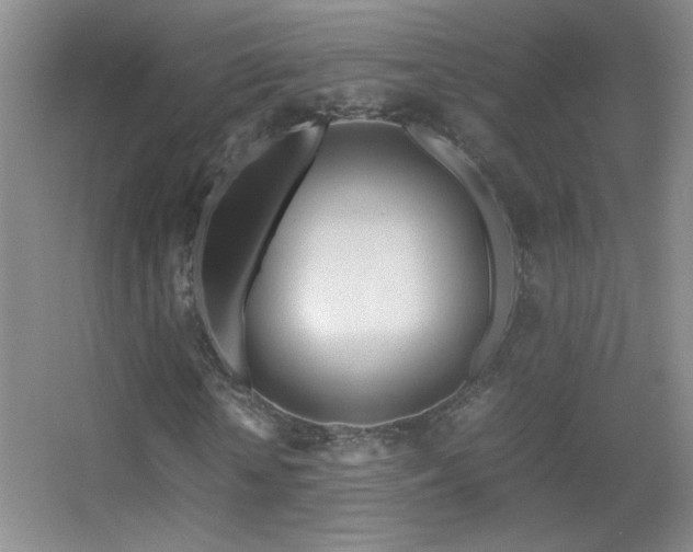 X0000055510818200508121014